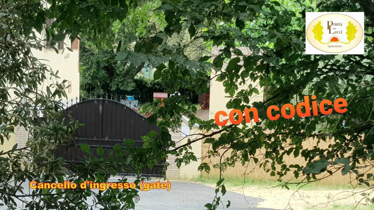 리파벨라 Punta Dei Lecci 빌라 외부 사진